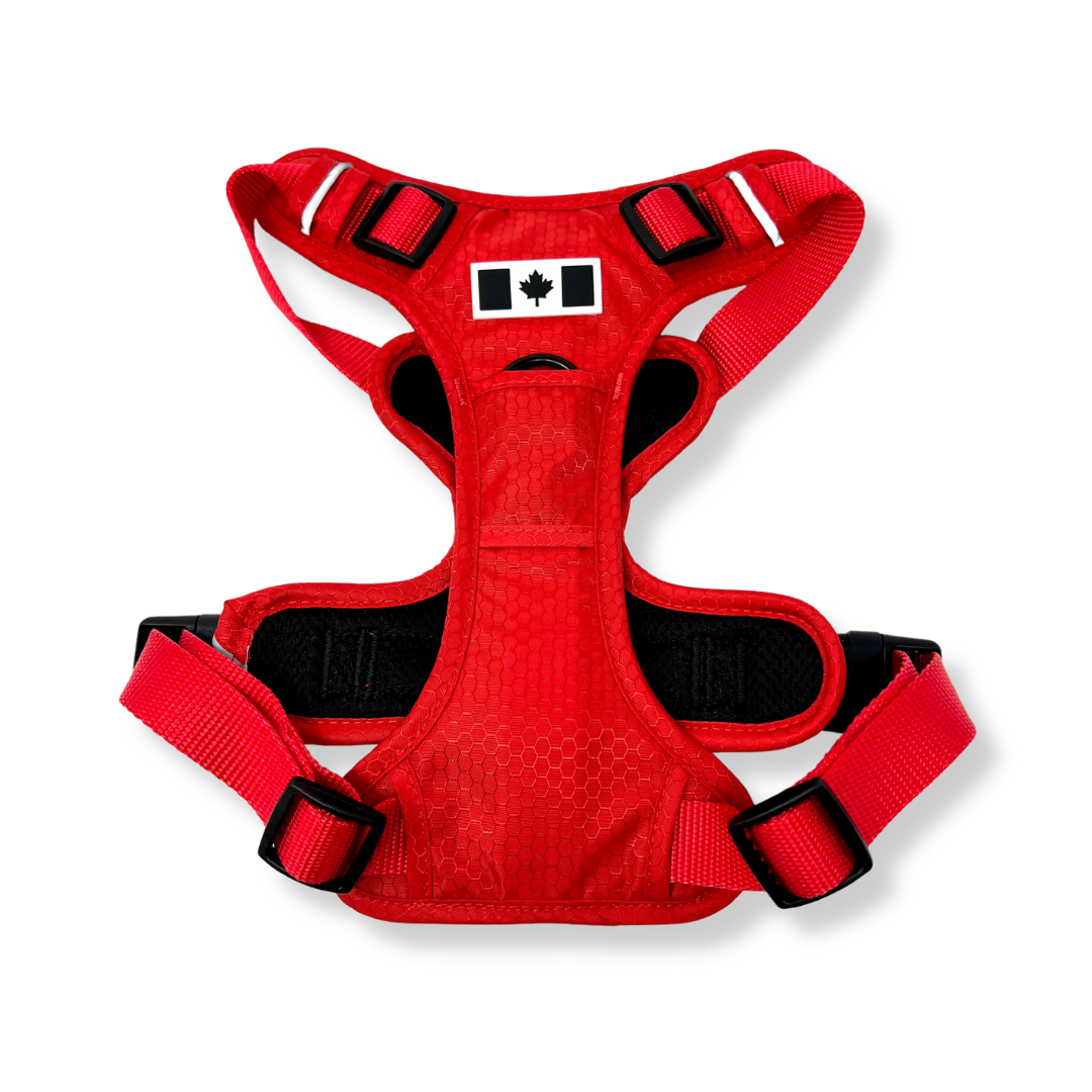 Summit All Terrain Harness: Green / Extra Large