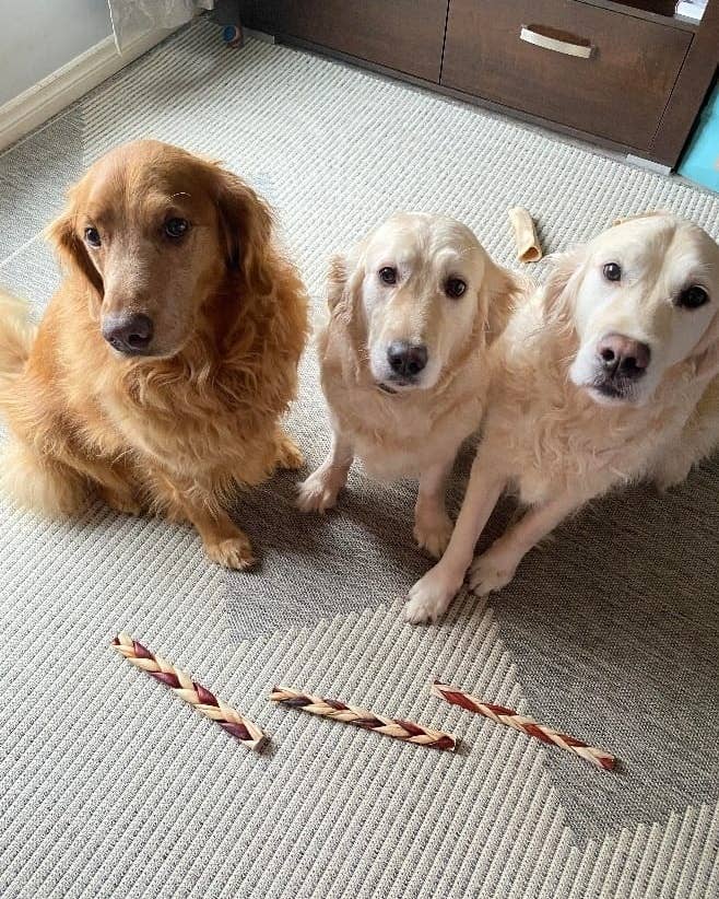 Braided Beef Collagen Stick Brown/Natural - 12"