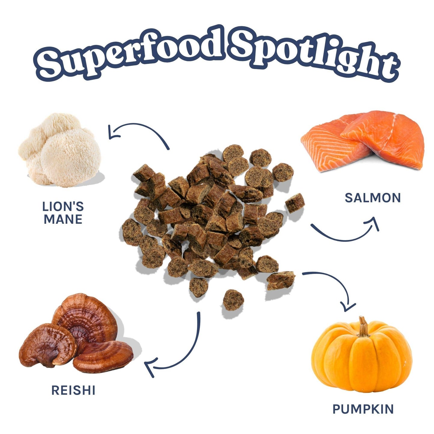 Healthybud's Functional Salmon Mini Training Treat for Dogs