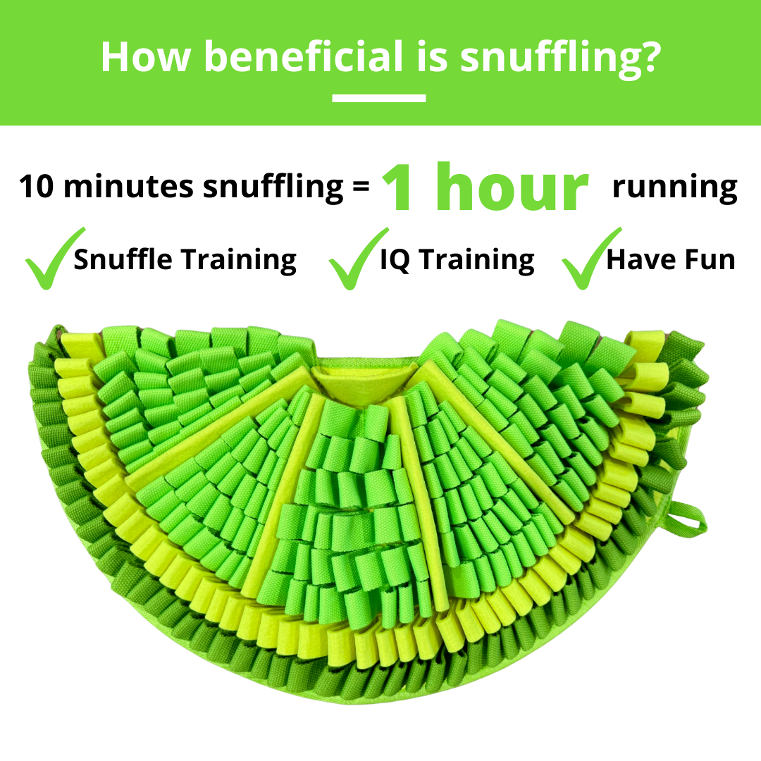 Zesty Lime™ Snuffle Mat | Challenge Level 2