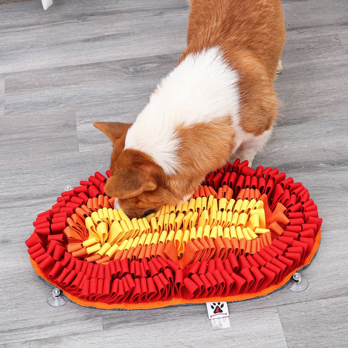 Fire & Ice™ Anti-Bite (Fire) Snuffle Mat | Level 2 For Dogs