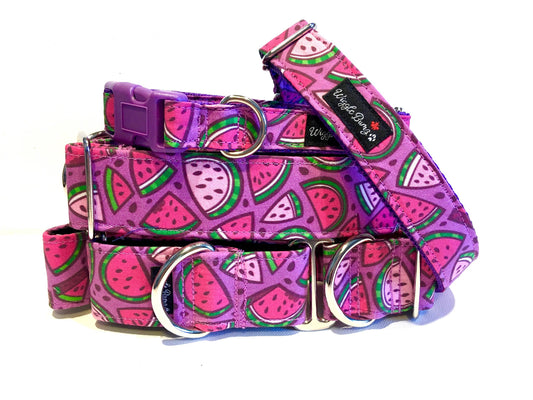 Watermelon Funk Dog Collar