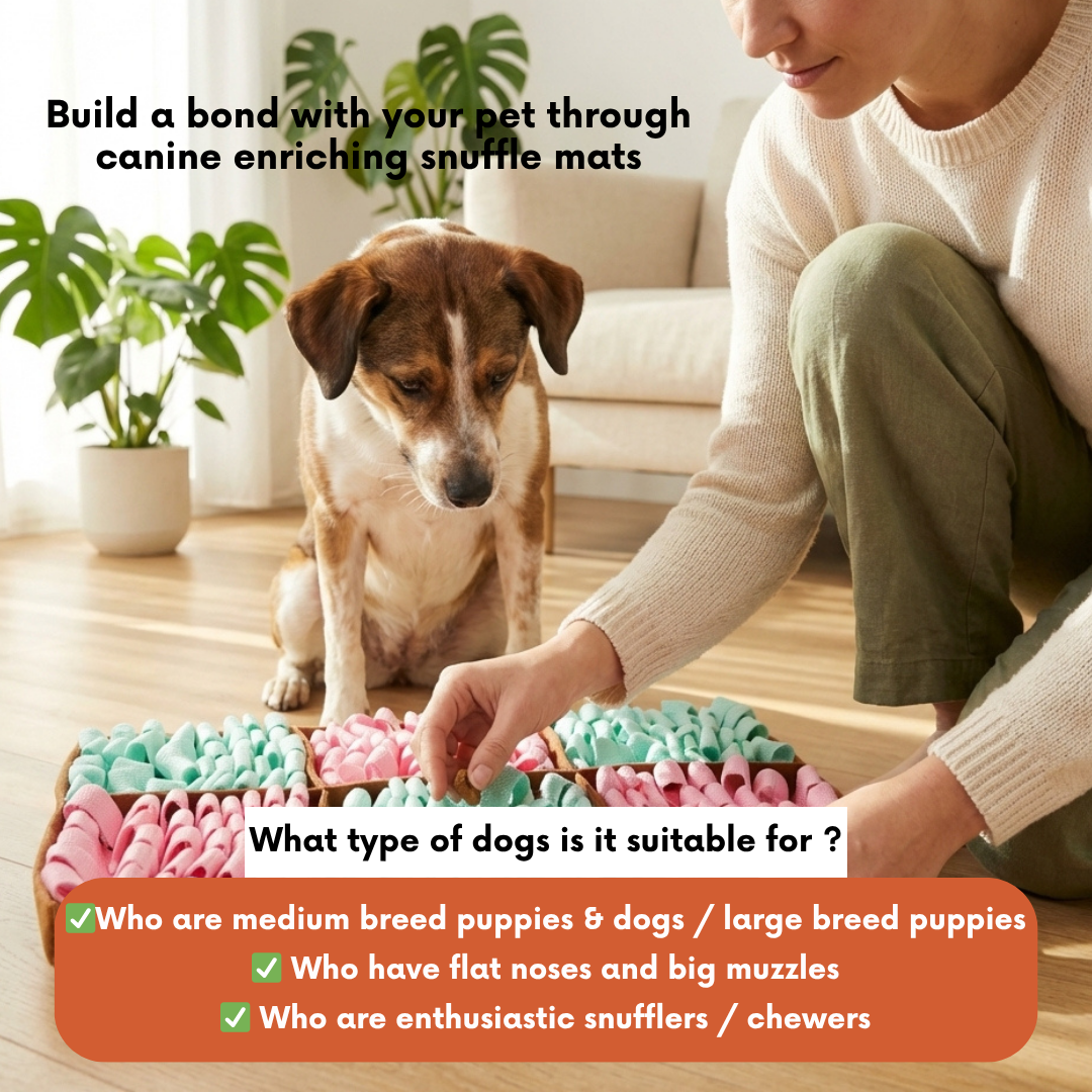 Gourmet Delights™ by LuvMyFido | Puzzle Mat for Dogs & Cats
