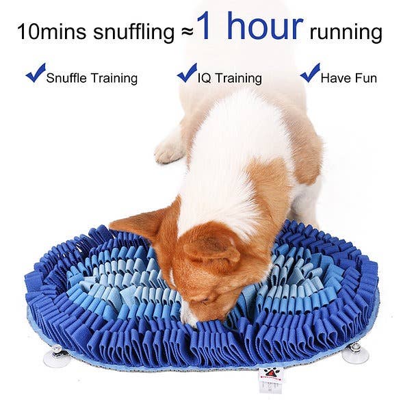Fire & Ice™ Anti-Bite (Ice) Snuffle Mat | Level 2 Sniff Mat