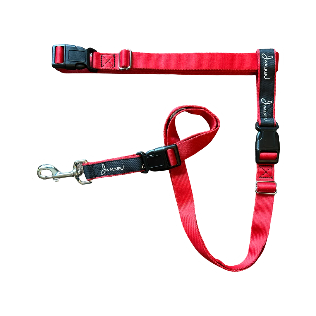 J-Walker Leash Belt