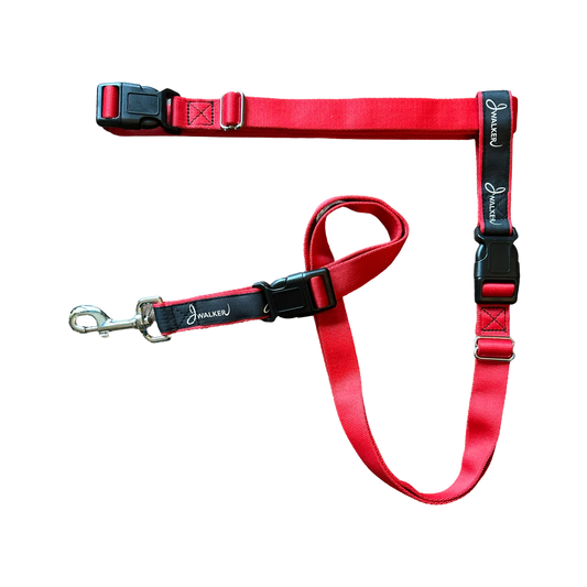 J-Walker Leash Belt
