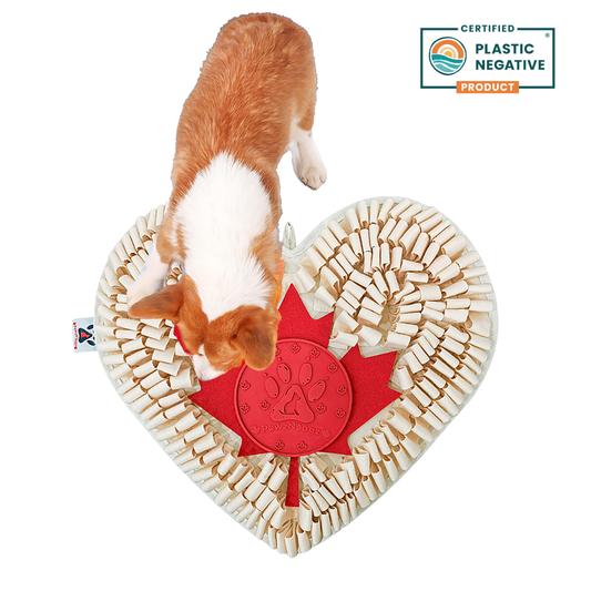 Boundless Love™ Anti-Bite Snuffle Mat | Challenge Level 3