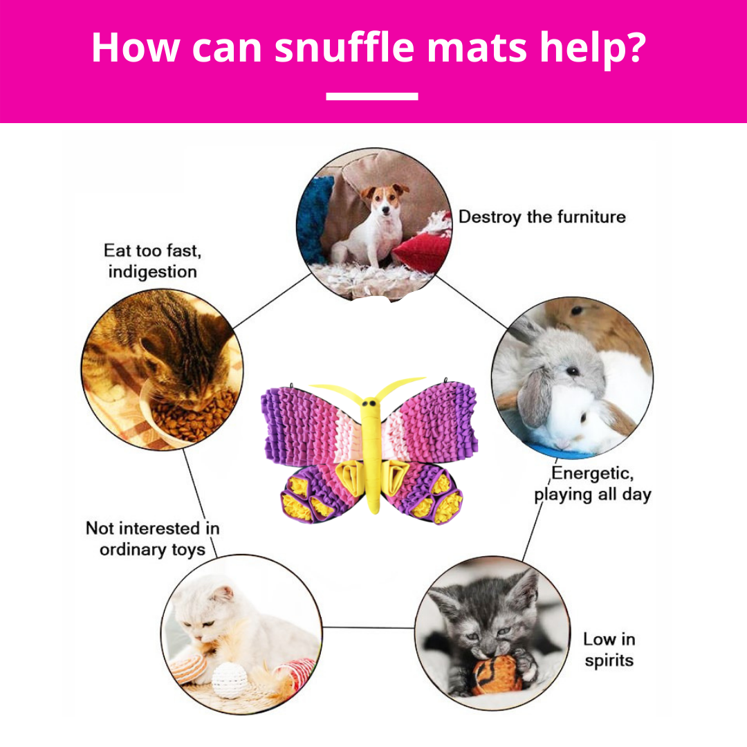 Radiant Butterfly™ Snuffle Mat | Level 3 | Dog Sniffing Mat