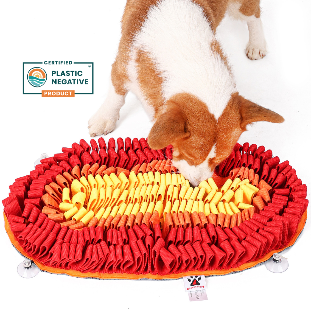 Fire & Ice™ Anti-Bite (Fire) Snuffle Mat | Level 2 For Dogs