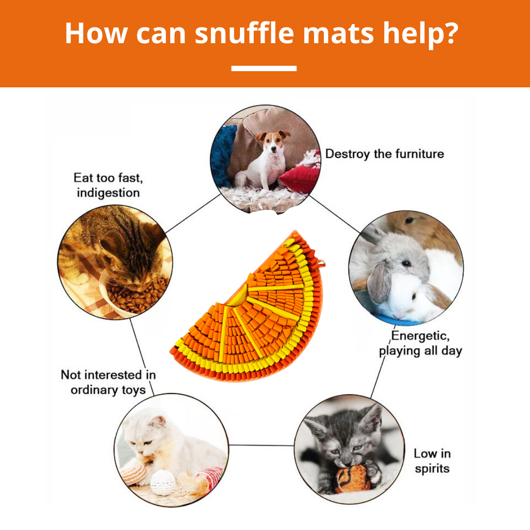 Tangy Orange™ Snuffle Mat | Challenge Level 2