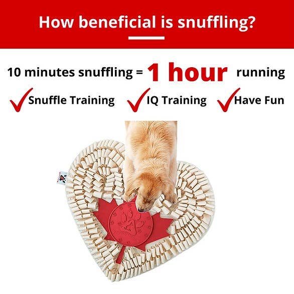 Boundless Love™ Anti-Bite Snuffle Mat | Challenge Level 3