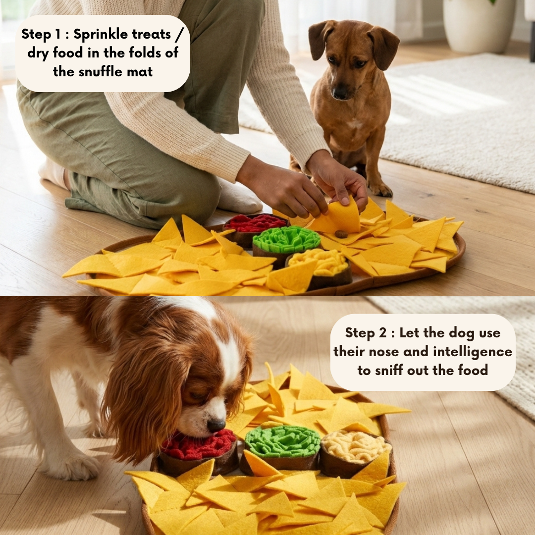 Cheesy Nachos™ by LuvMyFido | Slow Feeding Mat for Pets