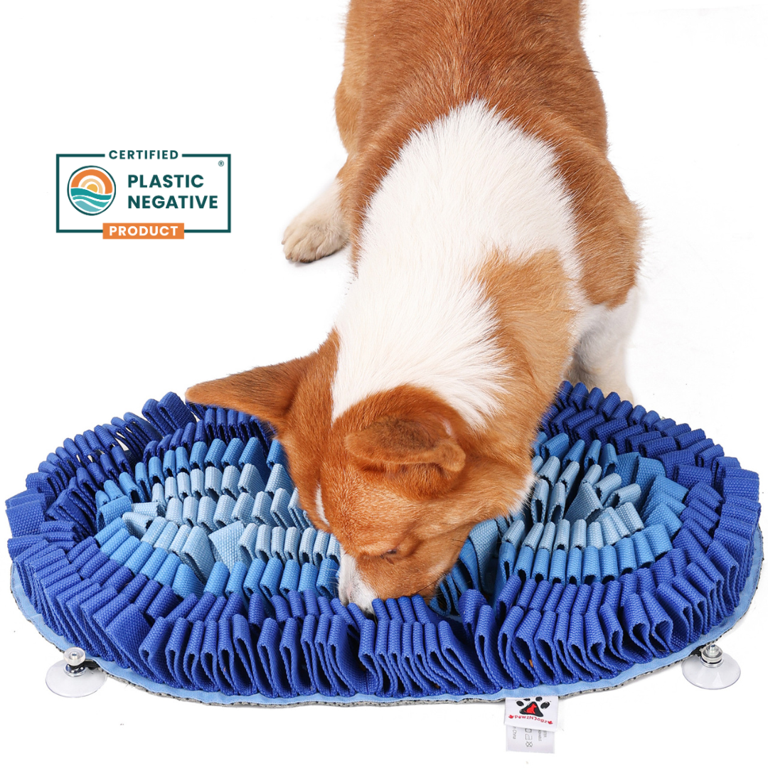 Fire & Ice™ Anti-Bite (Ice) Snuffle Mat | Level 2 Sniff Mat