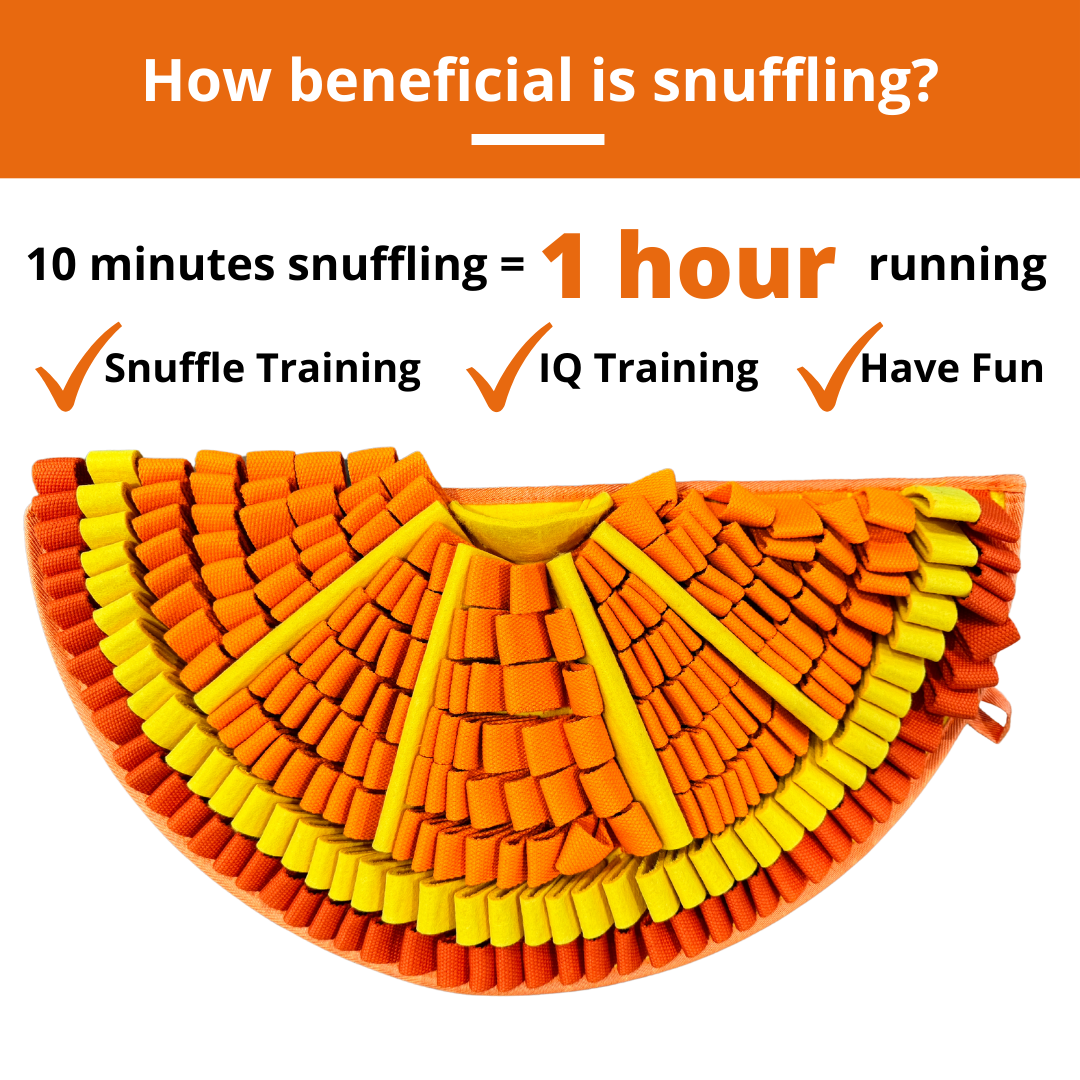 Tangy Orange™ Snuffle Mat | Challenge Level 2