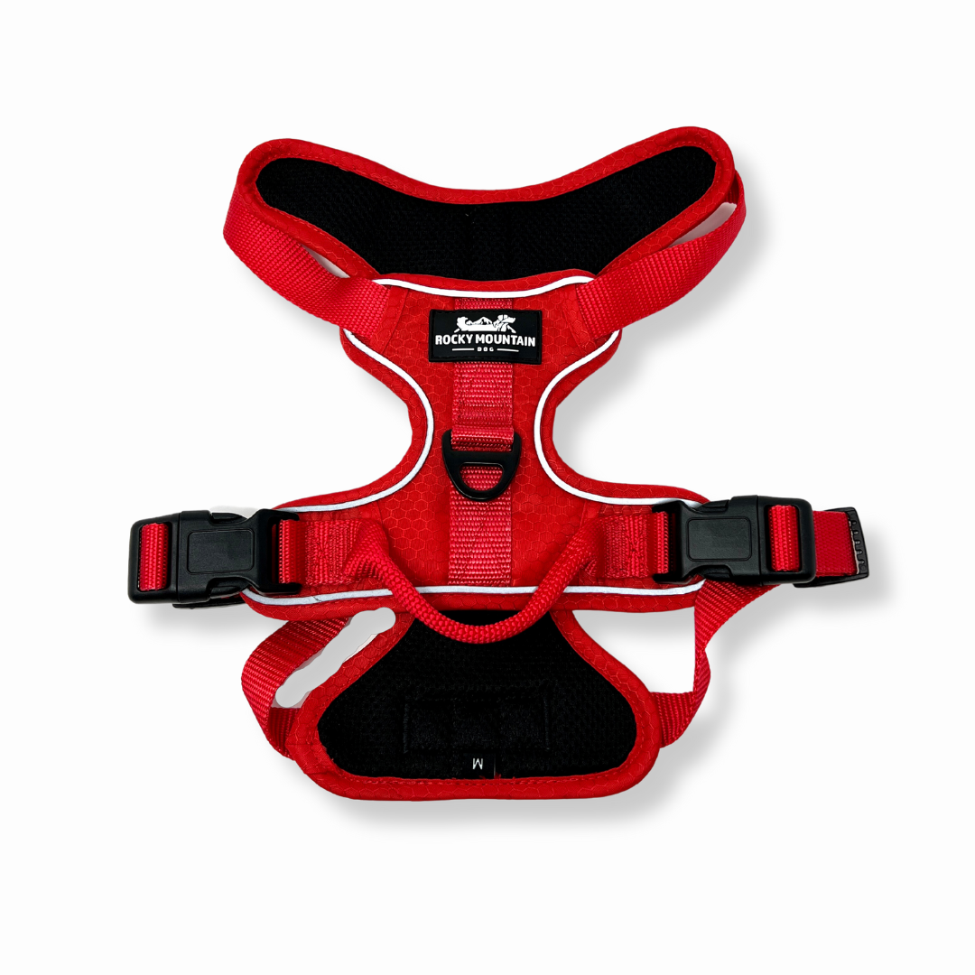 Summit All Terrain Harness: Green / Extra Large