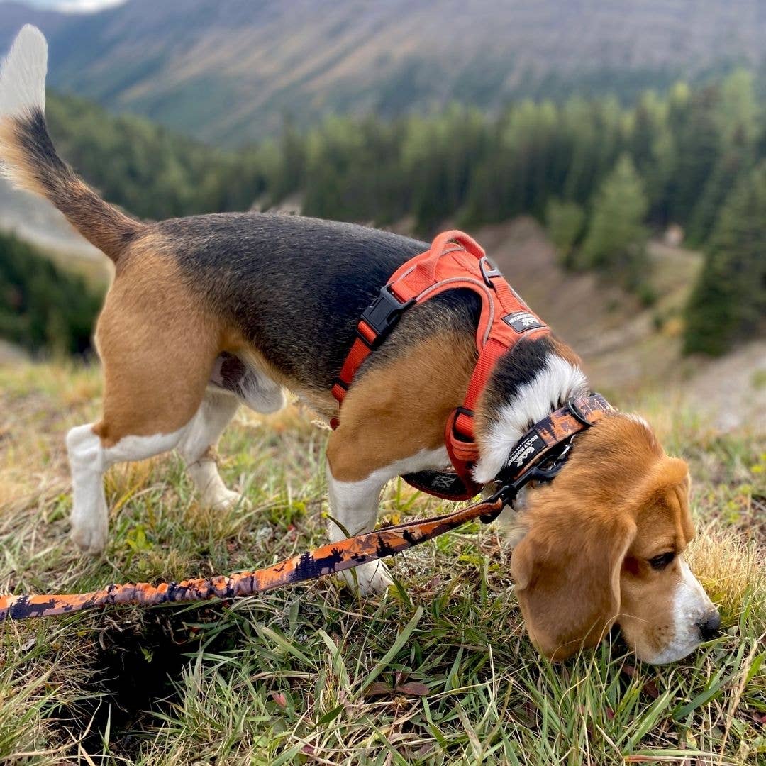 Summit All Terrain Harness