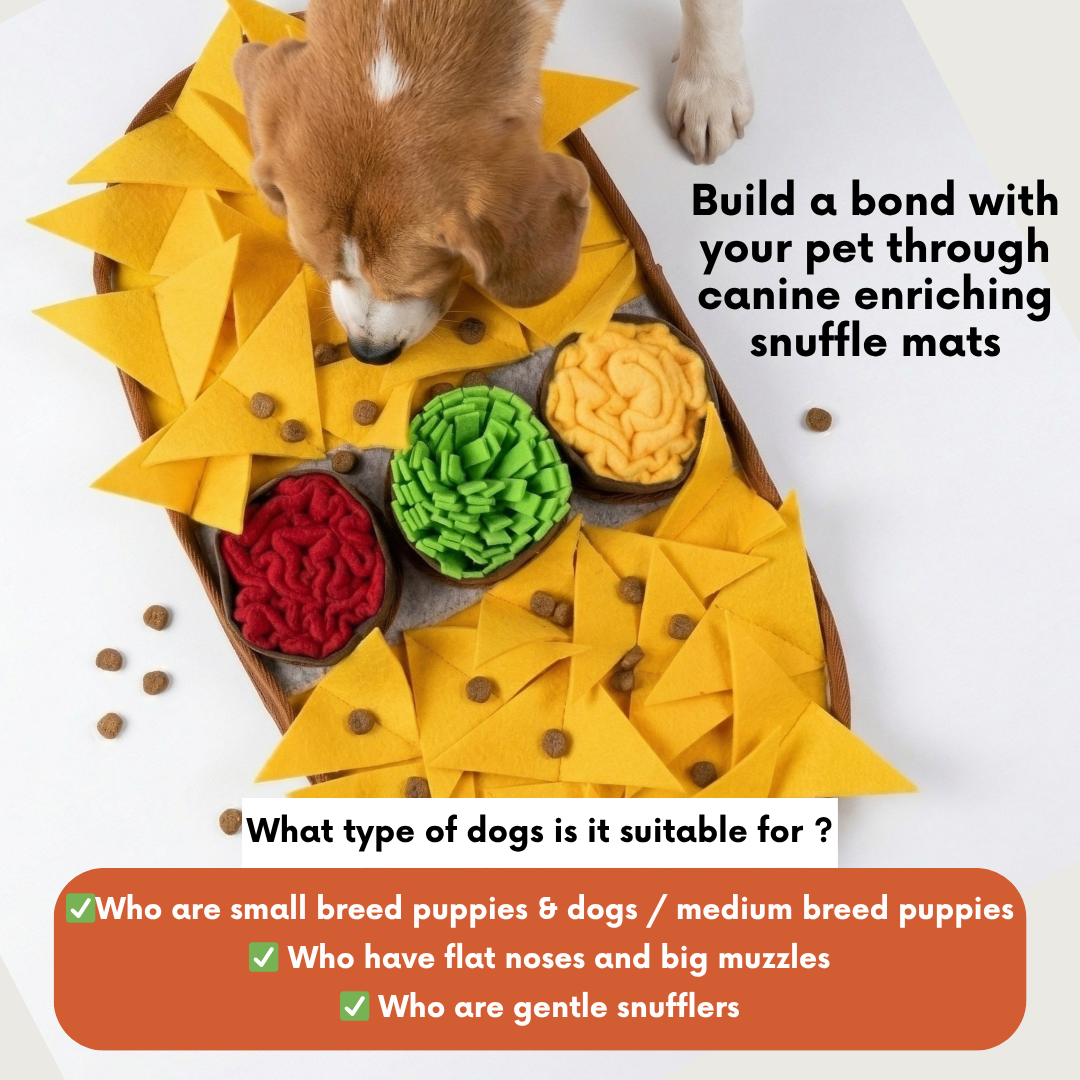 Cheesy Nachos™ by LuvMyFido | Slow Feeding Mat for Pets