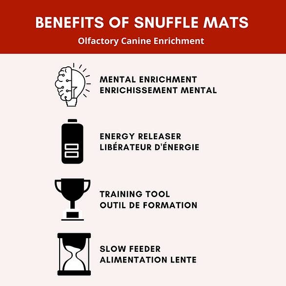 Challenger Bone™ Snuffle Mat |Level 4 for Mental Stimulation