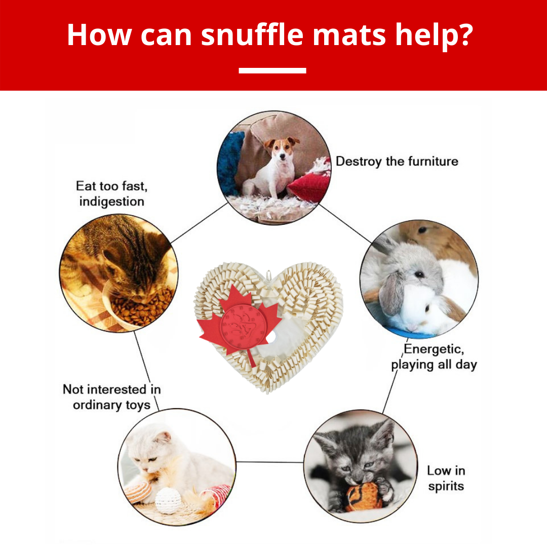 Boundless Love™ Anti-Bite Snuffle Mat | Challenge Level 3