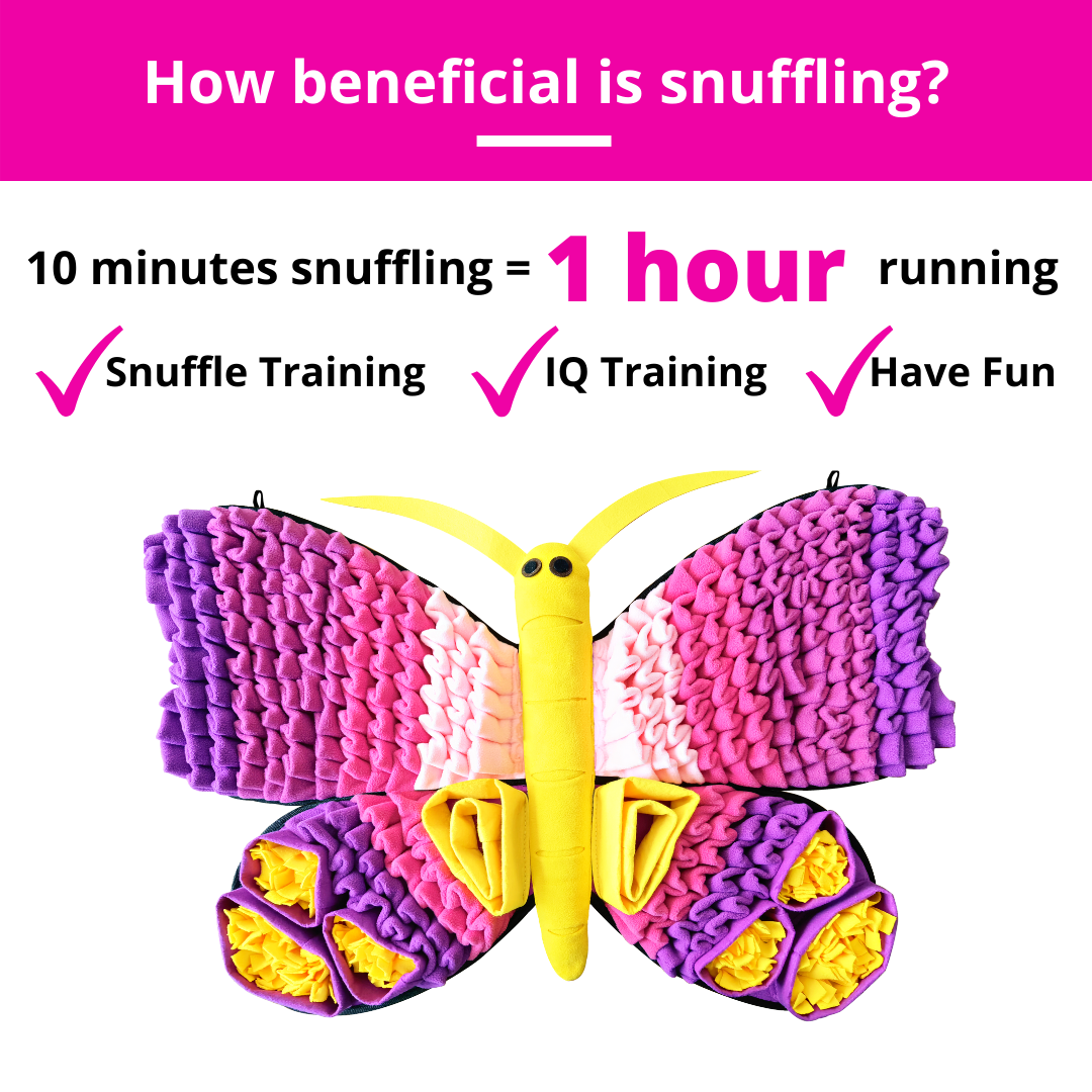 Radiant Butterfly™ Snuffle Mat | Level 3 | Dog Sniffing Mat