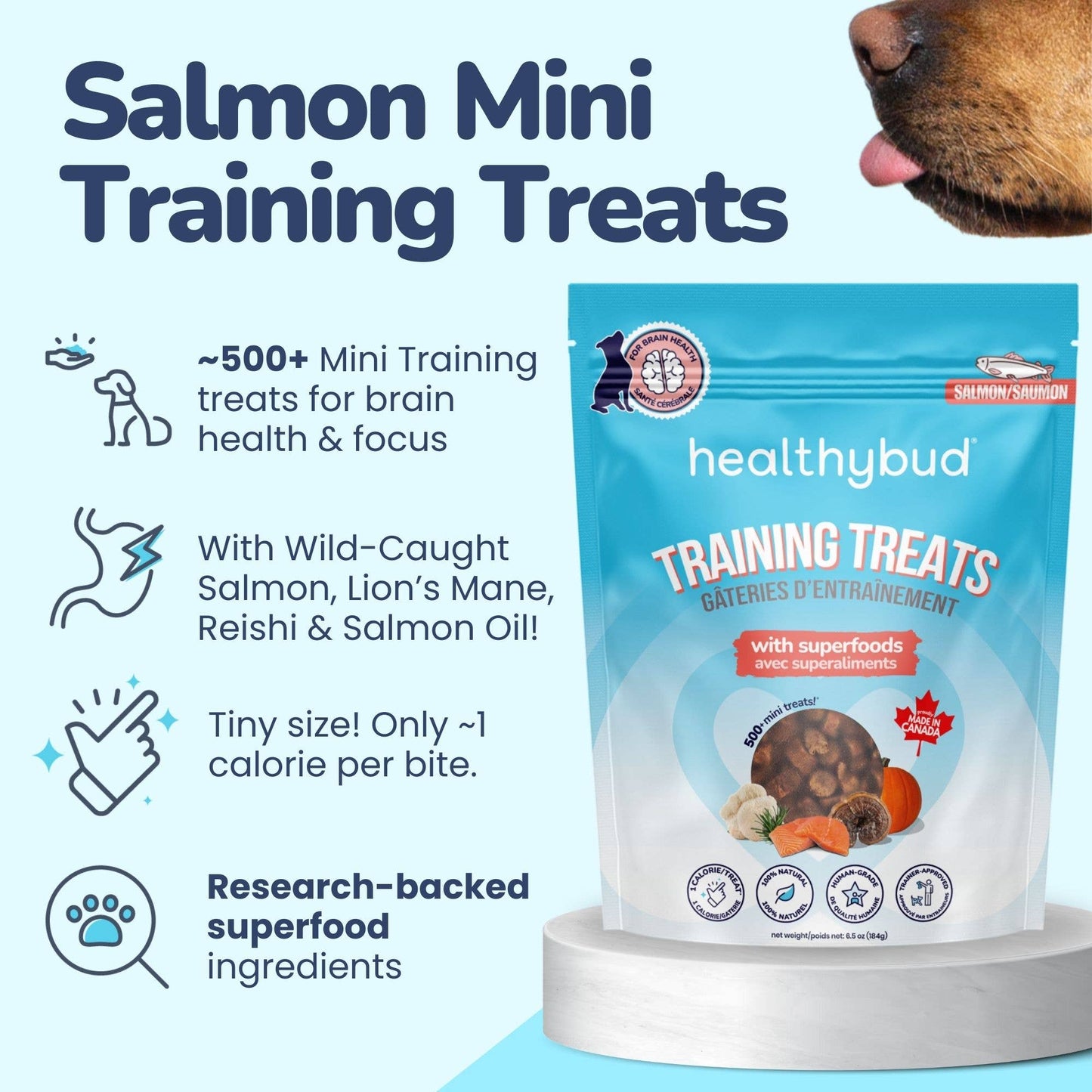 Healthybud's Functional Salmon Mini Training Treat for Dogs