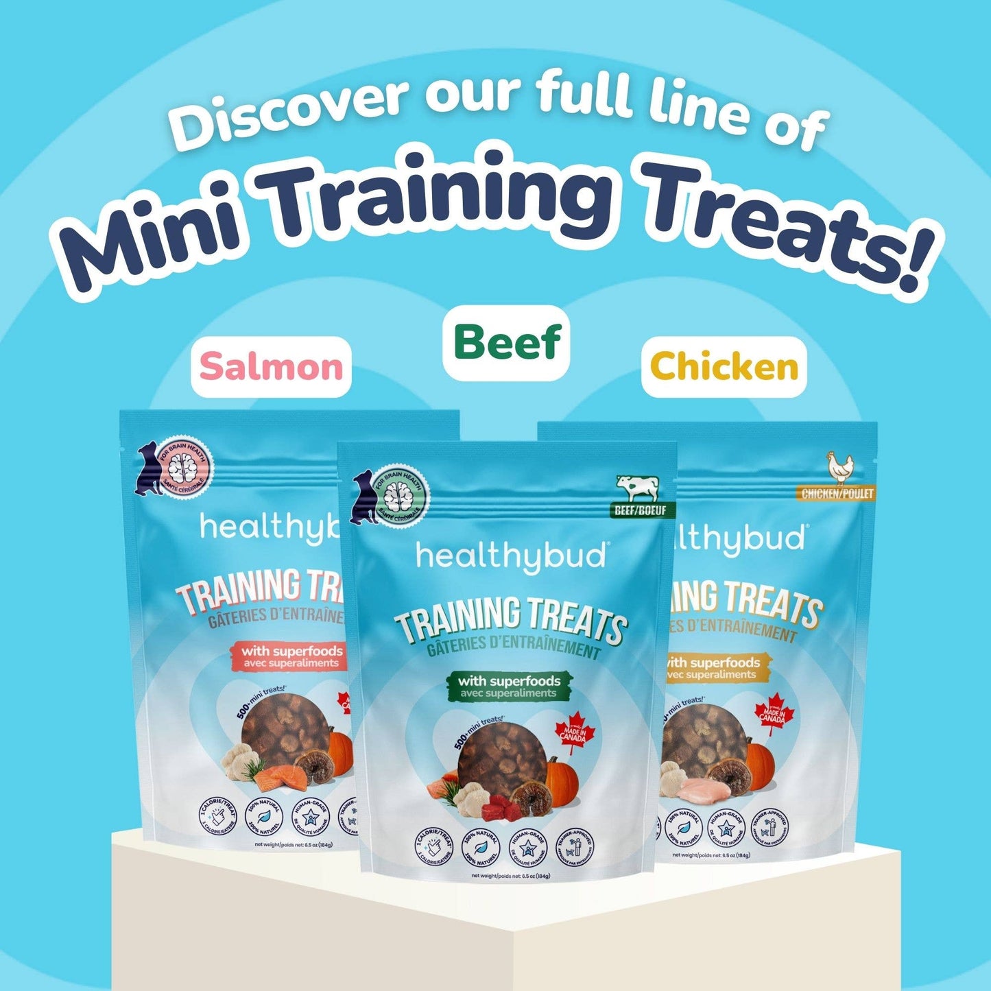 Healthybud's Functional Chicken Mini Training Treat for Dogs