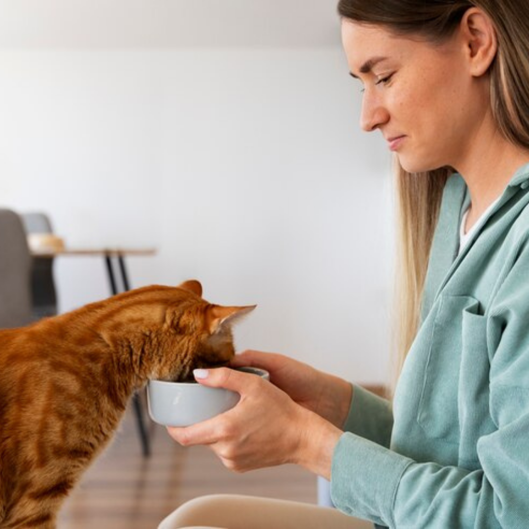 Chicken Breast Dehydrated Pet Treats: High-Protein & Vitamin