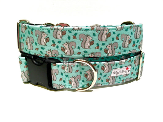 Squirrely Dog Collar