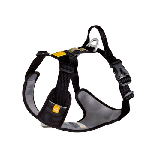 Roam Harness Black