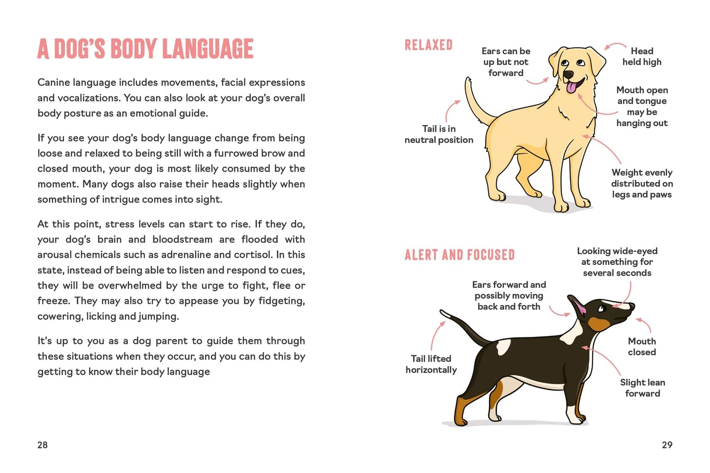 Dog Parenting - Book (Illustrated)